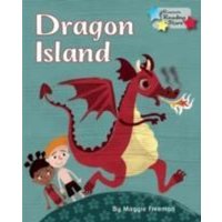 Dragon Island von Ransom Publishing Ltd