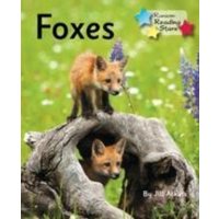 Foxes von Ransom Publishing Ltd