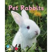 Pet Rabbits von Ransom Publishing Ltd