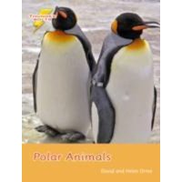 Polar Animals von Ransom Publishing Ltd