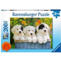 Puzzle Ravensburger Kuschelige Welpen 200 Teile XXL von Ravensburger