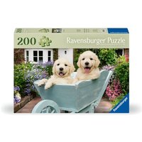 Ravensburger Puzzle 12001368 - Golden Retriever - 200 Teile Hunde-Puzzle für ältere Menschen und Senioren, mit größeren, griffigen Puzzleteilen, große von Ravensburger Spieleverlag