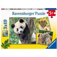 Ravensburger - Panda, Tiger und Löwe, 49 Teile von Ravensburger