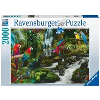 Puzzle Ravensburger Bunte Papageien im Dschungel 2000 Teile von Ravensburger