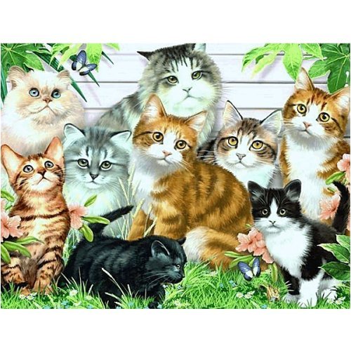Puzzle 60 Teile - Kleine süße Katzen Puzzle 60 Teile - Kleine süße Katzen von Ravensburger