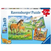 Puzzle Ravensburger Kuschelzeit 3 X 49 Teile Puzzle Ravensburger Kuschelzeit 3 X 49 Teile von Ravensburger Verlag GmbH