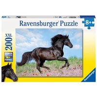 Puzzle Ravensburger Schwarzer Hengst 200 Teile XXL Puzzle Ravensburger Schwarzer Hengst 200 Teile XXL von Ravensburger Verlag GmbH