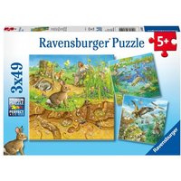 Puzzle Ravensburger Tiere in ihren Lebensräumen 3 X 49 Teile Puzzle Ravensburger Tiere in ihren Lebensräumen 3 X 49 Teile von Ravensburger Verlag GmbH