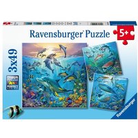 Puzzle Ravensburger Tierwelt des Ozeans 3 X 49 Teile Puzzle Ravensburger Tierwelt des Ozeans 3 X 49 Teile von Ravensburger Verlag GmbH