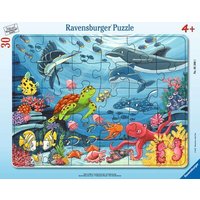 RAVENSBURGER 05566 Kinderpuzzle Unten im Meer Rahmenpuzzle von Ravensburger