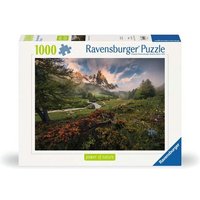 RAVENSBURGER 12000074 Puzzle 1000 Teile Malerische Stimmung im Vallée de la Clarée, Französischen Alpen von Ravensburger