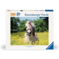 RAVENSBURGER 12000210 Puzzle 500 Teile Pferd im Rapsfeld von Ravensburger