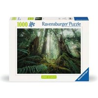 RAVENSBURGER 12000292 Puzzle 1000 Teile Faszinierender Wald RAVENSBURGER 12000292 Puzzle 1000 Teile Faszinierender Wald von Ravensburger