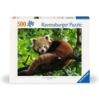 RAVENSBURGER 12000369 Puzzle 500 Teile Süßer roter Panda von Ravensburger