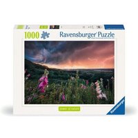 RAVENSBURGER 12000793 Puzzle 1000 Teile Ein Sturm zieht auf von Ravensburger