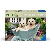 RAVENSBURGER 12001368 Puzzle für Senioren 200 Teile Golden Retriever von Ravensburger