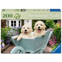 RAVENSBURGER 12001368 Puzzle für Senioren 200 Teile Golden Retriever RAVENSBURGER 12001368 Puzzle für Senioren 200 Teile Golden Retriever von Ravensburger