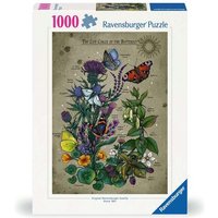 RAVENSBURGER 12001435 Puzzle für Erwachsene 1000 Teile Lifecircle Butterfly RAVENSBURGER 12001435 Puzzle für Erwachsene 1000 Teile Lifecircle Butterfly von Ravensburger