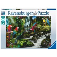 RAVENSBURGER 17111 Puzzle Bunte Papagein im Dschungel 2000 Teile von Ravensburger