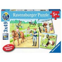 RAVENSBURGER 5129 Puzzle 3 x 49 Teile Ein Tag auf dem Reiterhof von Ravensburger