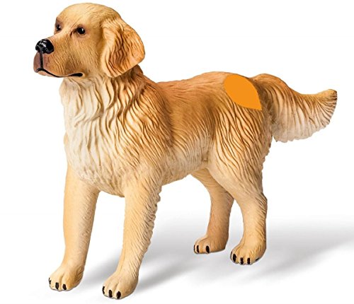 Ravensburger - 00309 – Elektronisches Lernspiel – tiptoi – Tierfigur – Golden Retriever von Ravensburger