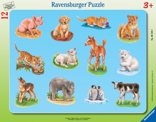 Ravensburger 061037 - Tierkinder, 8-17 Teile Rahmenpuzzle von Ravensburger