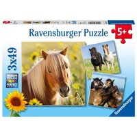 Puzzle Ravensburger Liebe Pferde 3 X 49 Teile Puzzle Ravensburger Liebe Pferde 3 X 49 Teile von Ravensburger Verlag GmbH