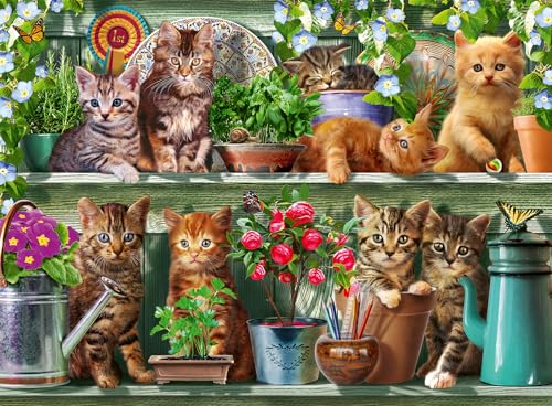 Ravensburger 12000205 12000205-Katzen im Regal-500 Teile Erwachsene und Kinder ab 10 Jahren, Tier-Puzzle mit Katzen-Motiv von Ravensburger