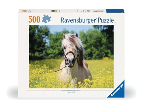 Erwachsenenpuzzle 500 Teile - Pferd im Rapsfeld von Ravensburger