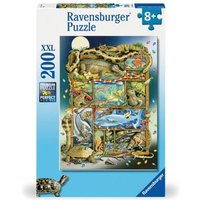 Ravensburger Puzzle Reptilien im Regal 200 Teile Ravensburger Puzzle Reptilien im Regal 200 Teile von Ravensburger Verlag GmbH