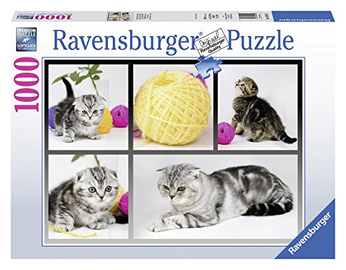 Ravensburger 19545 - Britisch Kurzhaar Katzen - 1000 Teile Puzzle von Ravensburger