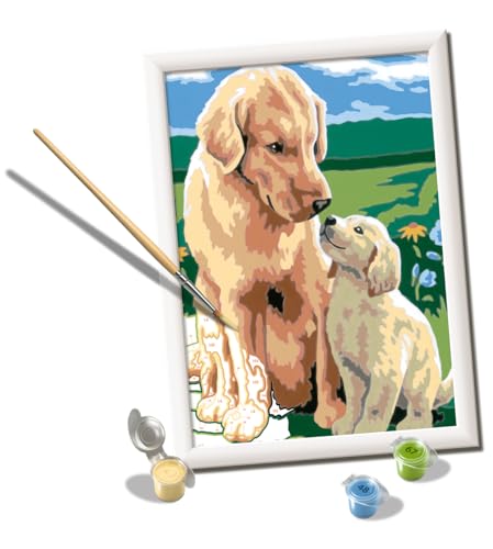 Ravensburger - CreArt D-Serie: Retriever auf der Wiese, Malset nach Zahlen, enthält eine vorgedruckte Tabelle, einen Pinsel, Farben und Zubehör, kreatives Spiel für Jungen und Mädchen, 7+ Jahre von Ravensburger