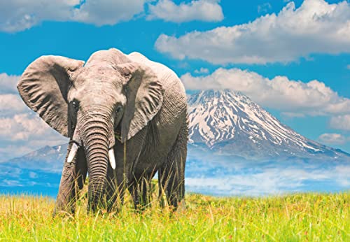 Ravensburger Puzzle 13320 - African Elephant - 300 Teile Puzzle für Erwachsene und Kinder ab 14 Jahren von Ravensburger