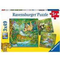 Puzzle Ravensburger Im Urwald 3 X 49 Teile von Ravensburger