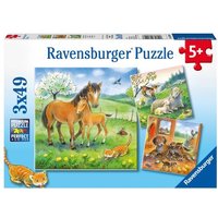 Puzzle Ravensburger Kuschelzeit 3 X 49 Teile von Ravensburger