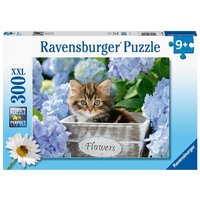 Puzzle Ravensburger Kleine Katze 300 Teile XXL von Ravensburger