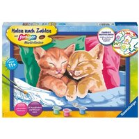 CreArt, Malen nach Zahlen Kinder - Verschmuste Kätzchen CreArt, Malen nach Zahlen Kinder - Verschmuste Kätzchen von Ravensburger Verlag GmbH