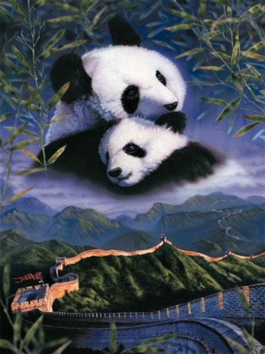 Ravensburger - Pandas, 1000 Teile Puzzle von Ravensburger