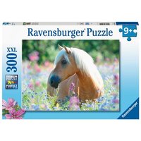 Ravensburger Kinderpuzzle - Pferd im Blumenmeer - 300 Teile Puzzle für Kinder ab 9 Jahren Ravensburger Kinderpuzzle - Pferd im Blumenmeer - 300 Teile Puzzle für Kinder ab 9 Jahren von Ravensburger Verlag GmbH