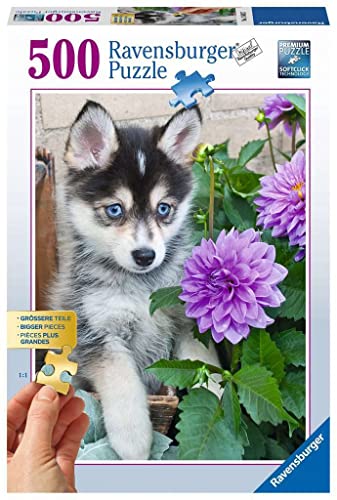 Ravensburger Puzzle 13682 - Putziger Husky - 500 Teile Puzzle für Erwachsene und Kinder ab 10 Jahren von Ravensburger