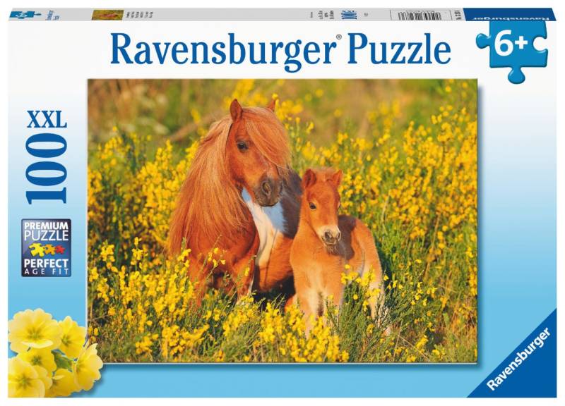 Ravensburger Puzzle Shetlandpony 100 Teile von Ravensburger