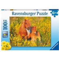 Puzzle Ravensburger Shetlandponys 100 Teile XXL von Ravensburger