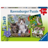 Puzzle Ravensburger Süße Samtpfötchen 3 X 49 Teile von Ravensburger