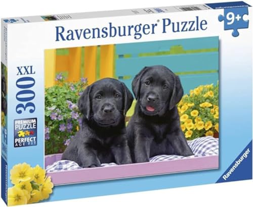 Ravensburger 12950 8 Puppy Welpenleben, Mehrfarbig von Ravensburger