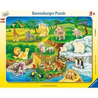 Rahmenpuzzle Ravensburger Zoobesuch 14 Teile Rahmenpuzzle Ravensburger Zoobesuch 14 Teile von Ravensburger Verlag GmbH
