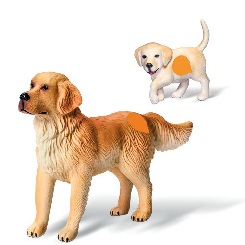 Ravensburger tiptoi 2-teiliges Set Spielfiguren Golden Retriever Hundefamilie mit Rüde & Welpe Ravensburger tiptoi 2-teiliges Set Spielfiguren Golden Retriever Hundefamilie mit Rüde & Welpe von Ravensburger