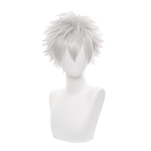 Rcrllya Anime Gintama Silber Seele Perücke Sakata Gintoki Kurze Silber Weiß Haar Cosplay Perücke Rolle Spielen Halloween Haar Synthetische Perücke Kappe von Rcrllya