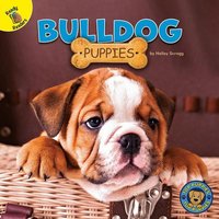 Bulldog Puppies von Rourke Educational Media