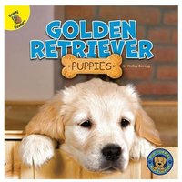 Golden Retriever Puppies von Rourke Educational Media