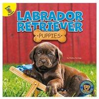 Labrador Retriever Puppies von Rourke Educational Media